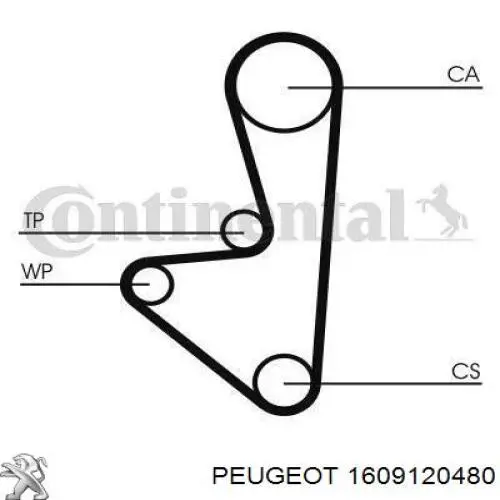 Kit de distribución 1689633280 Peugeot/Citroen