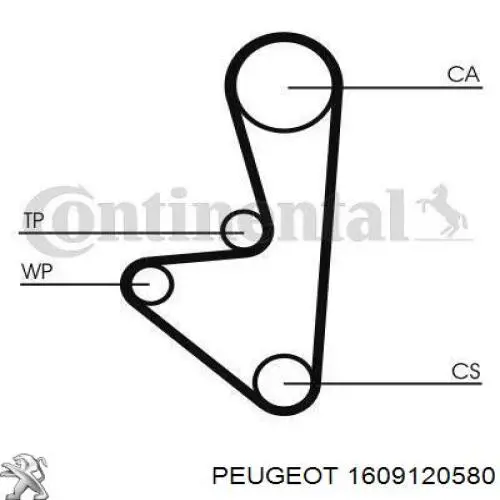 Comprar 1609120580 Peugeot/Citroen Kit de correa de distribución