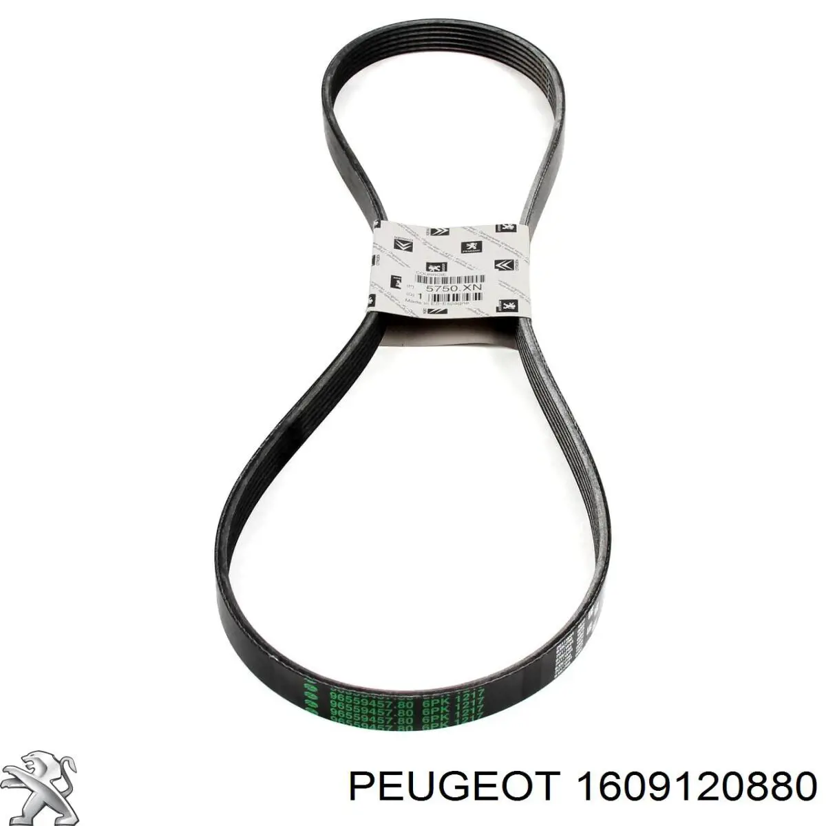 Comprar 1609120880 Peugeot/Citroen Kit de correa de distribución