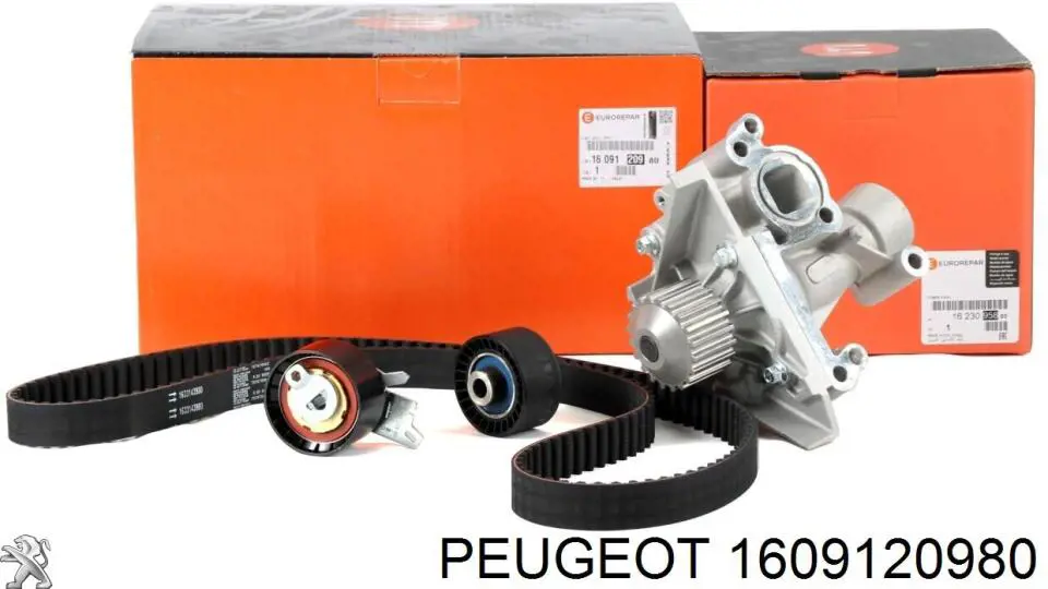 Juego de correas dentadas Peugeot/Citroen 1609120980 precio, desde 159,03 EUR