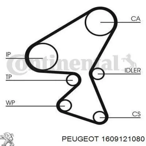 Kit correa de distribución Peugeot Partner 1 5F