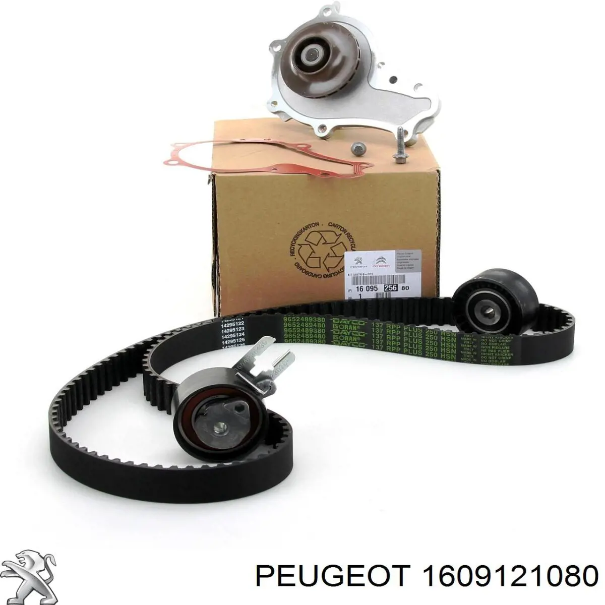 Kit correa de distribución Peugeot Partner 1 5F