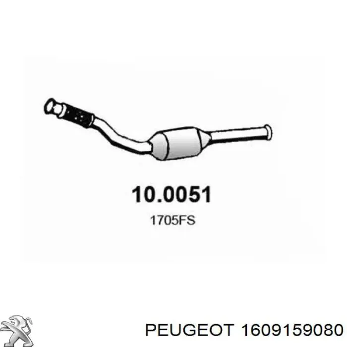 1609159080 Peugeot/Citroen catalizador