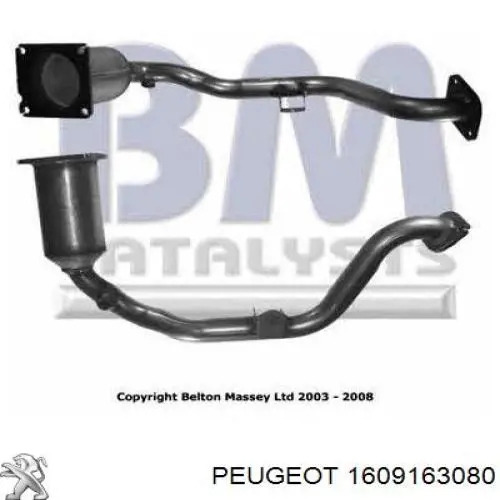 Catalizador Peugeot/Citroen 1609163080 precio, desde 247,20 EUR