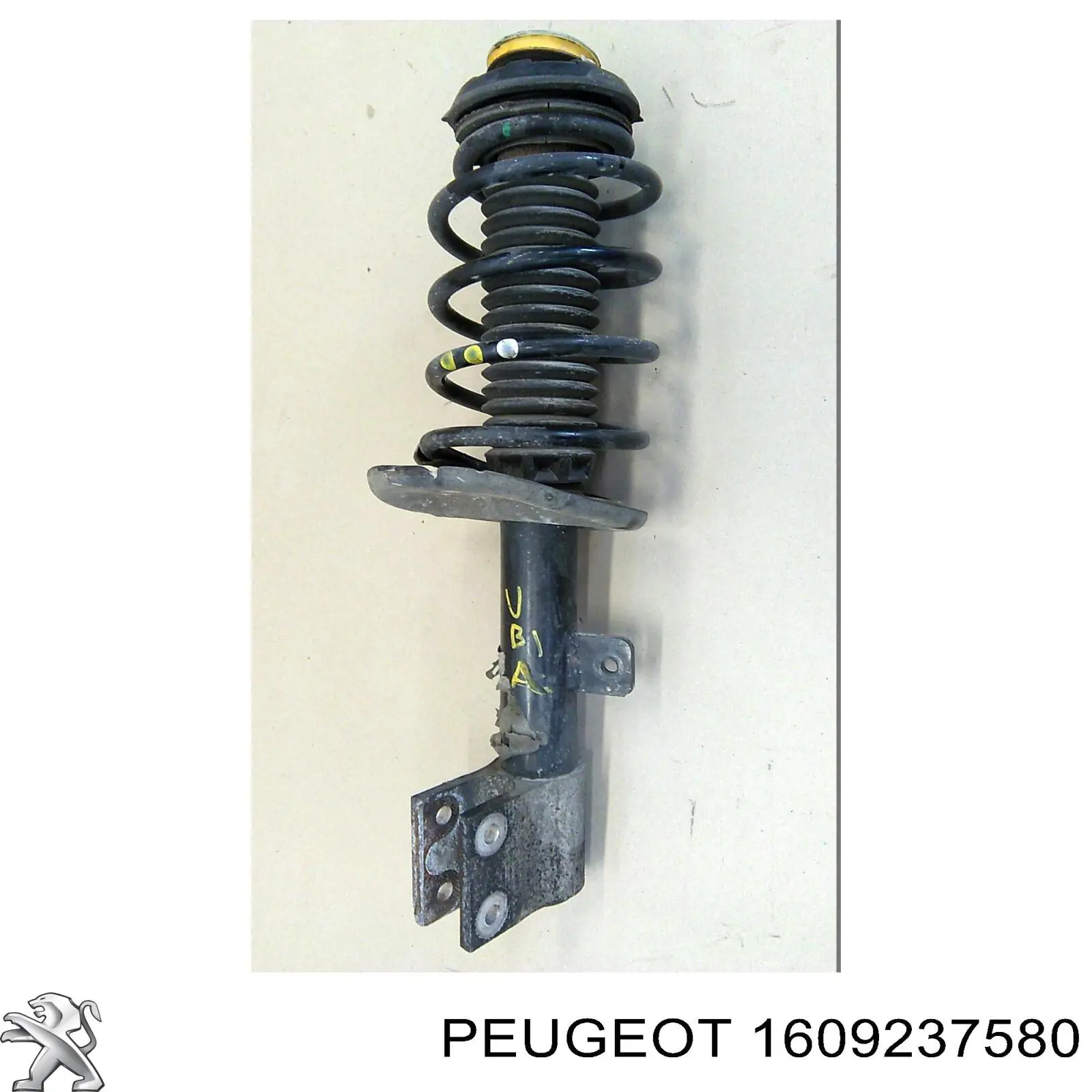 1609237580 Peugeot/Citroen bomba de dirección