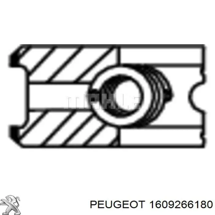 Juego de aros de pistón para compresor, 1 cilindro, STD Peugeot/Citroen 1609266180 precio, desde 27,19 EUR