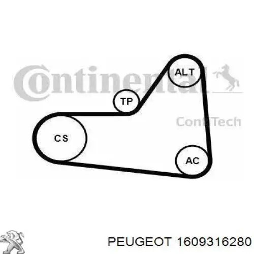 1609316280 Peugeot/Citroen correa trapezoidal