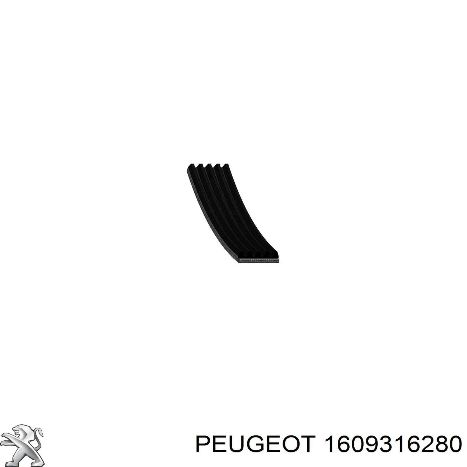 Correa de transmisión trapezoidal Peugeot/Citroen 1609316280 precio, desde 16,69 EUR