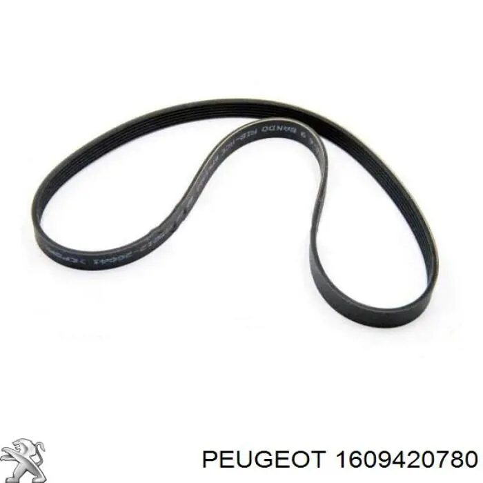 Correa de transmisión trapezoidal Peugeot/Citroen 1609420780 precio, desde 13,85 EUR