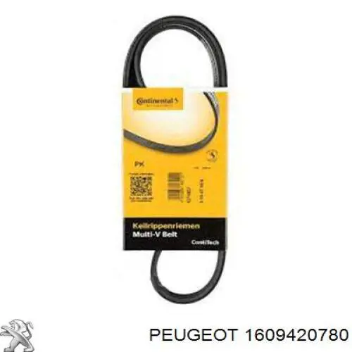 Correa de alternador 1609420780 Peugeot/Citroen