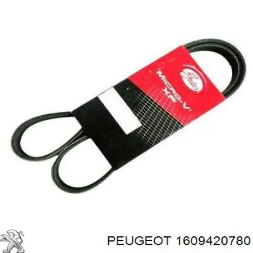 1609420780 Peugeot/Citroen Correa poly v