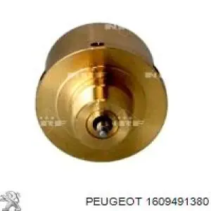 1609491380 Peugeot/Citroen compresor de aire acondicionado