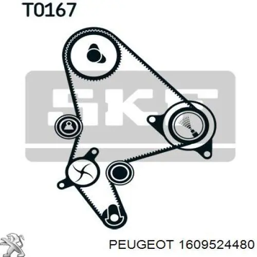 Kit de distribución 1609524480 Peugeot/Citroen