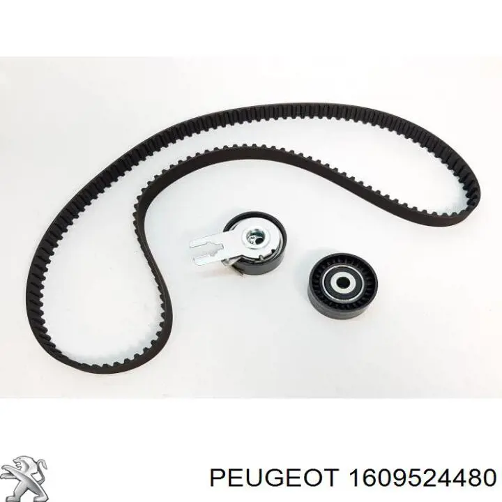 1609524480 Peugeot/Citroen Kit correa de distribución