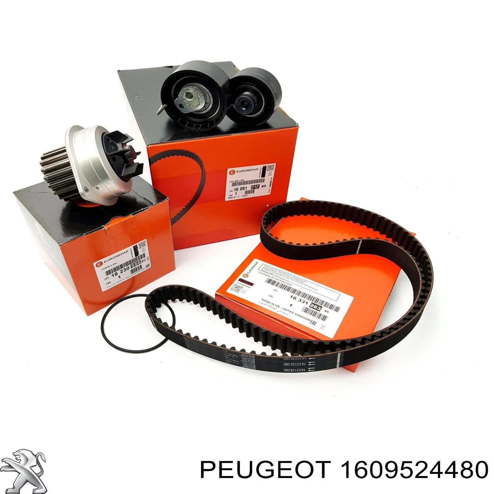 Juego de correas dentadas Peugeot/Citroen 1609524480 precio, desde 142,01 EUR