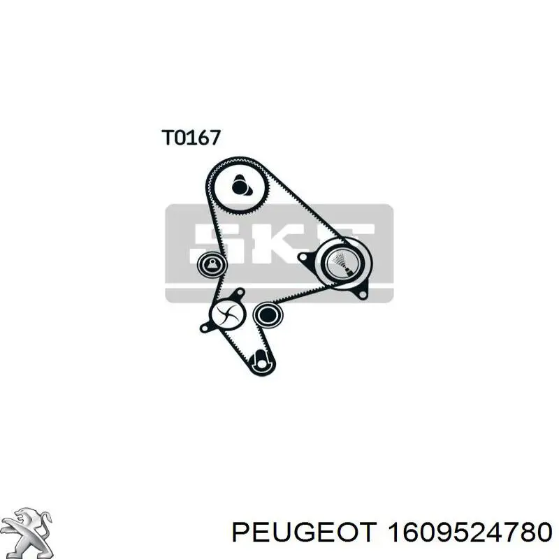 Juego de correas dentadas Peugeot/Citroen 1609524780 precio, desde 75,44 EUR