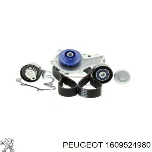 Kit distribución Peugeot/Citroen 1609524980