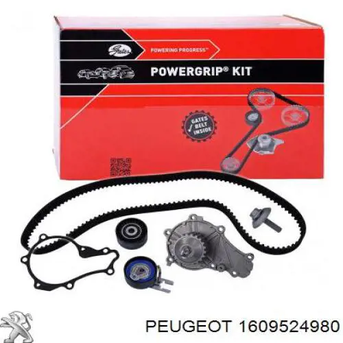 Comprar 1609524980 Peugeot/Citroen Kit de correa de distribución