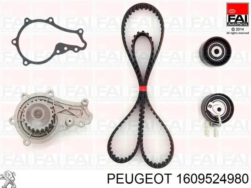 Kit de distribución 1609524980 Peugeot/Citroen