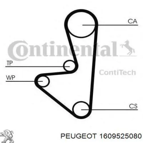 1609525080 Peugeot/Citroen kit de correa de distribución