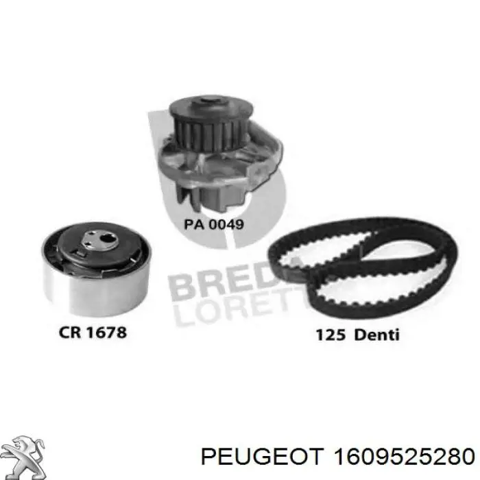 Juego de correas dentadas Peugeot/Citroen 1609525280 precio, desde 155,70 EUR