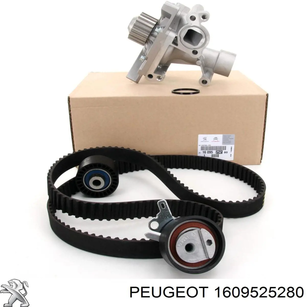 Comprar 1609525280 Peugeot/Citroen Kit de correa de distribución