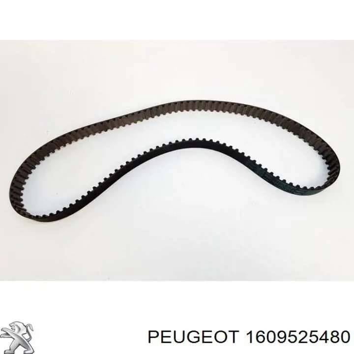1609525480 Peugeot/Citroen Kit correa de distribución