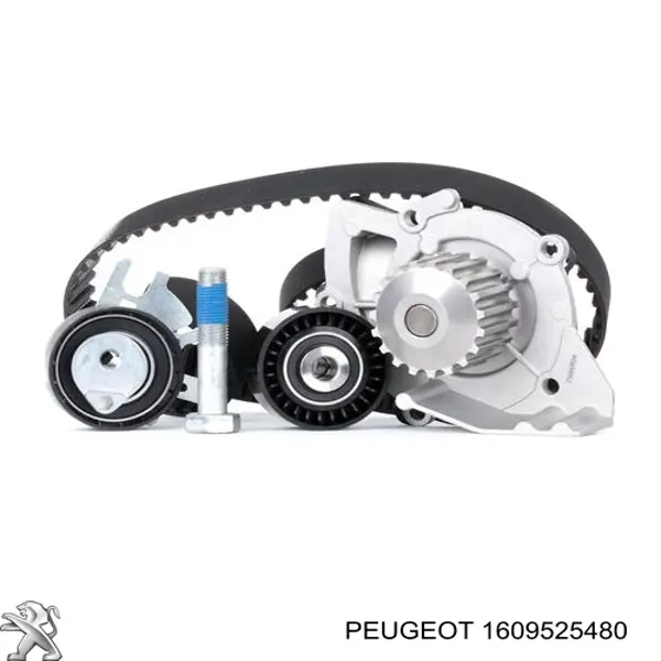 Juego de correas dentadas Peugeot/Citroen 1609525480 precio, desde 80,53 EUR