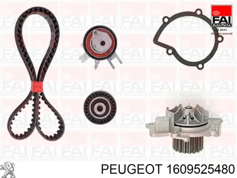 Comprar 1609525480 Peugeot/Citroen Kit de correa de distribución