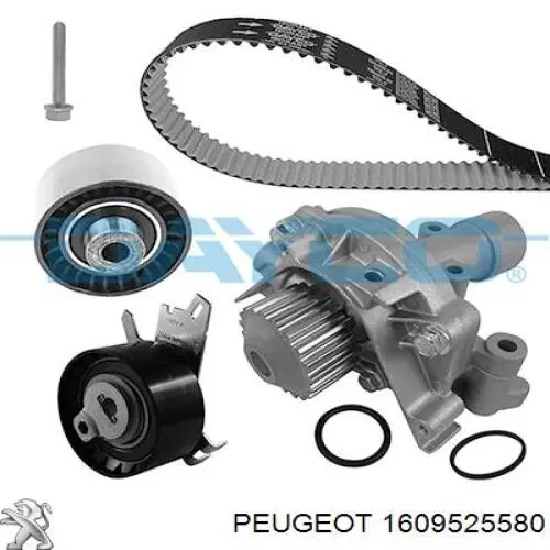 Juego de correas dentadas Peugeot/Citroen 1609525580 precio, desde 159,03 EUR
