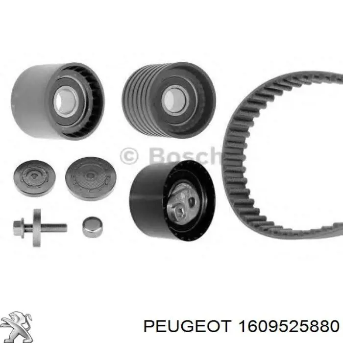Kit de distribución 1609525880 Peugeot/Citroen
