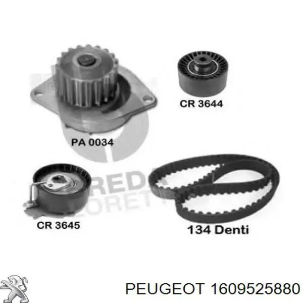 1609525880 Peugeot/Citroen kit de correa de distribución