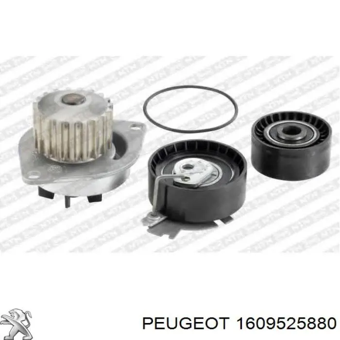 1609525880 Peugeot/Citroen Kit correa de distribución