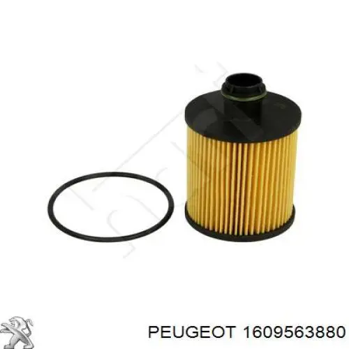 1609563880 Peugeot/Citroen Filtro aceite