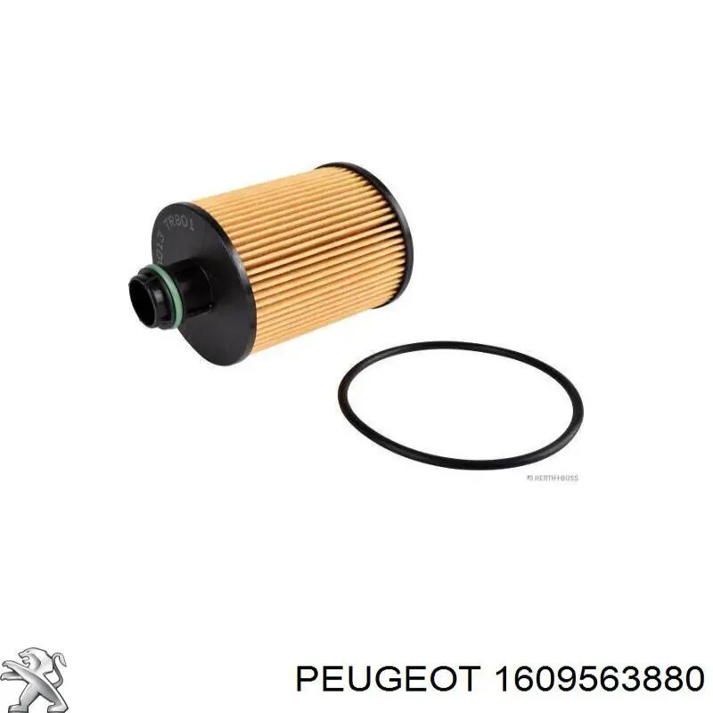 Filtro de aceite Peugeot/Citroen 1609563880 precio, desde 10,44 EUR