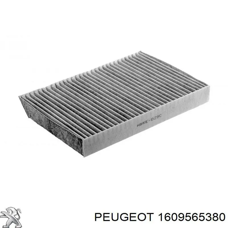 1609565380 Peugeot/Citroen Filtro aceite