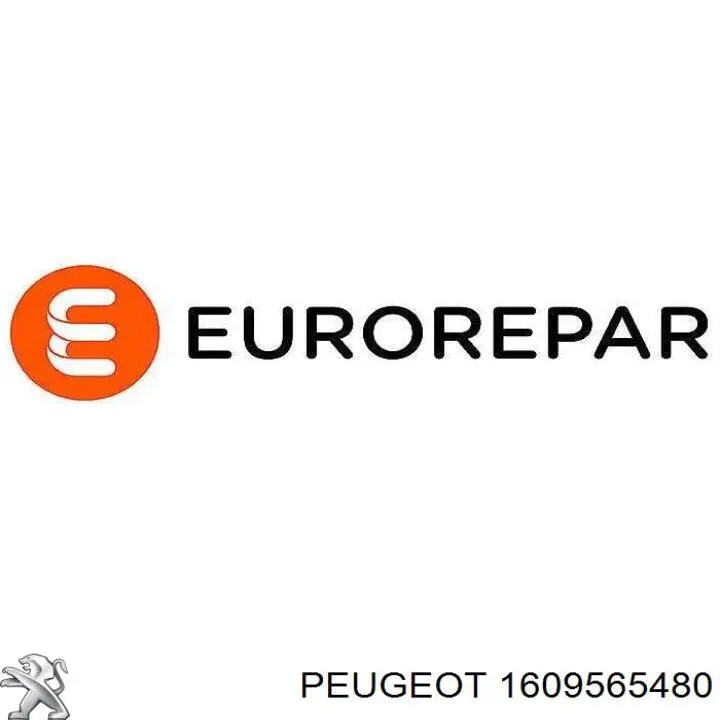 1609565480 Peugeot/Citroen Filtro aceite