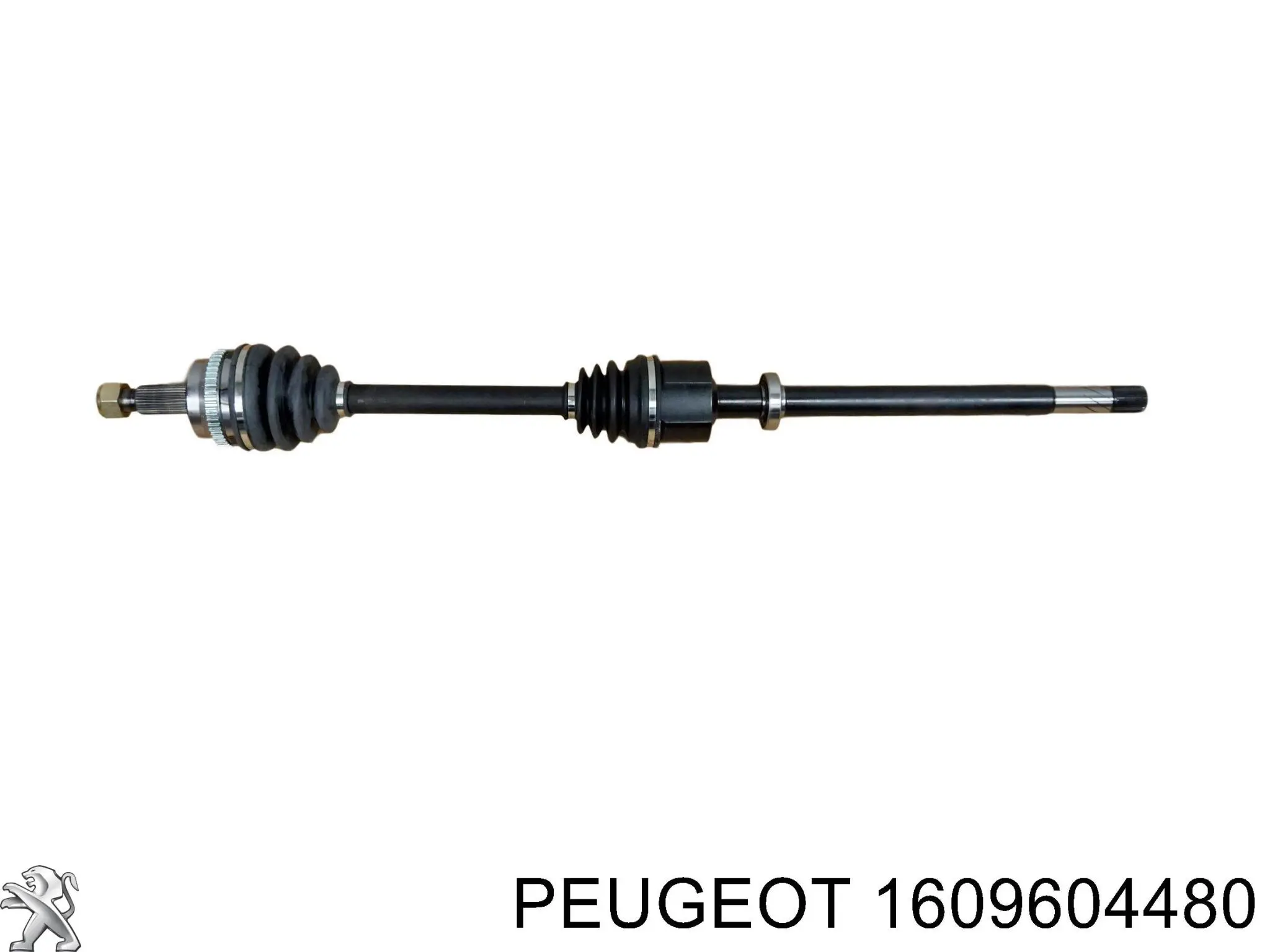 1609604480 Peugeot/Citroen