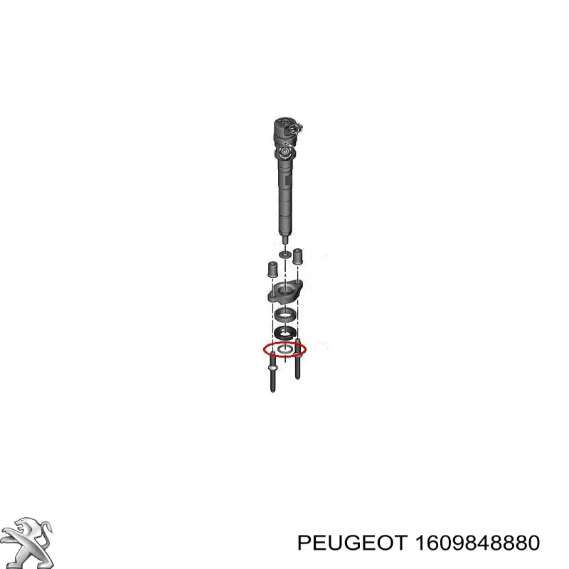  Peugeot/Citroen 1609848880