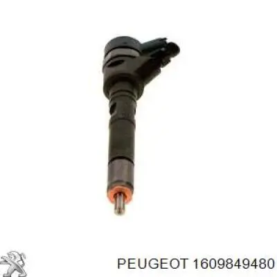 1609849480 Peugeot/Citroen inyector