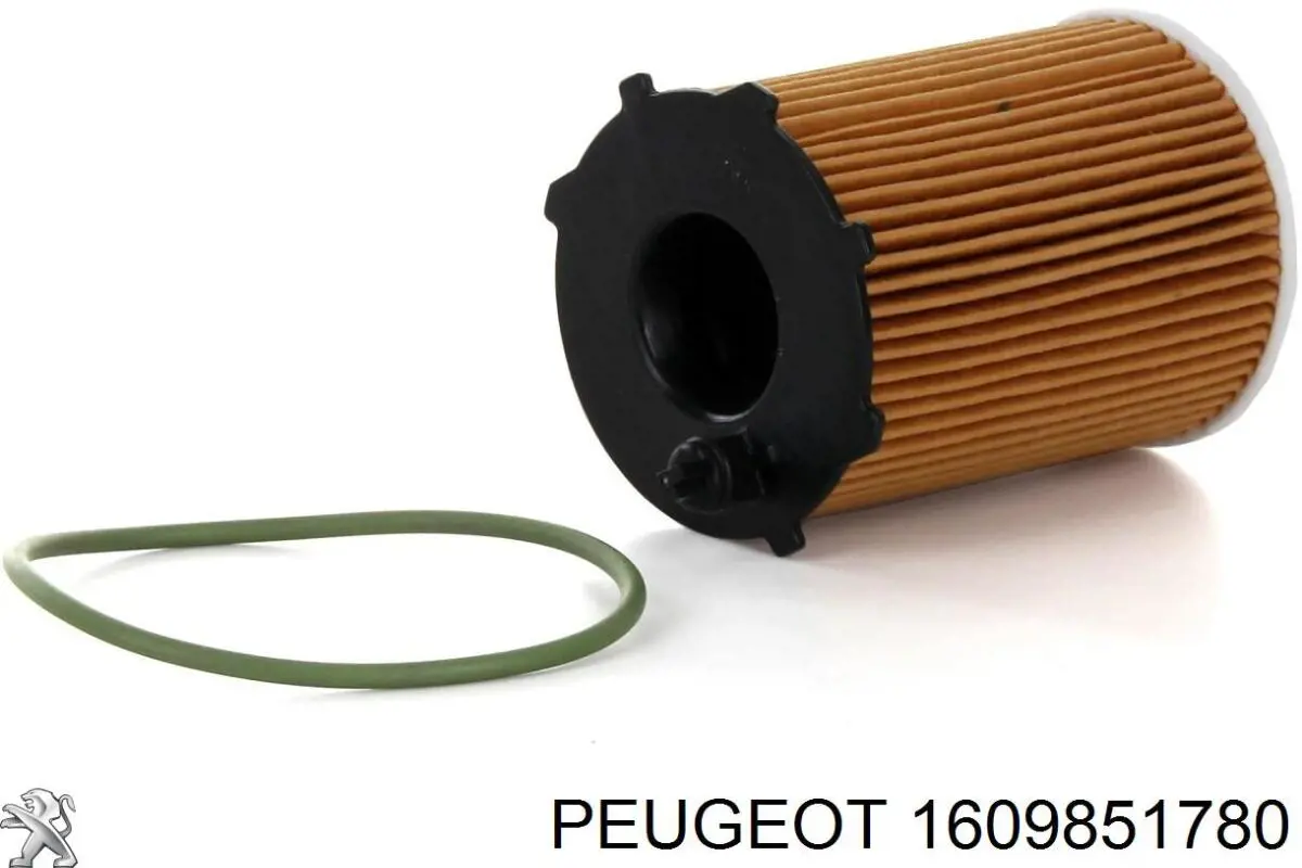1609851780 Peugeot/Citroen 
