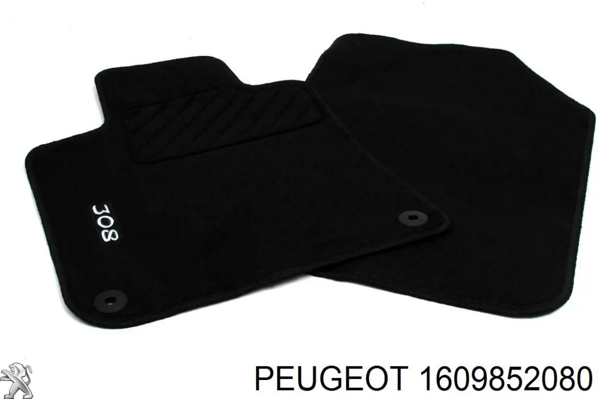 1609852080 Peugeot/Citroen