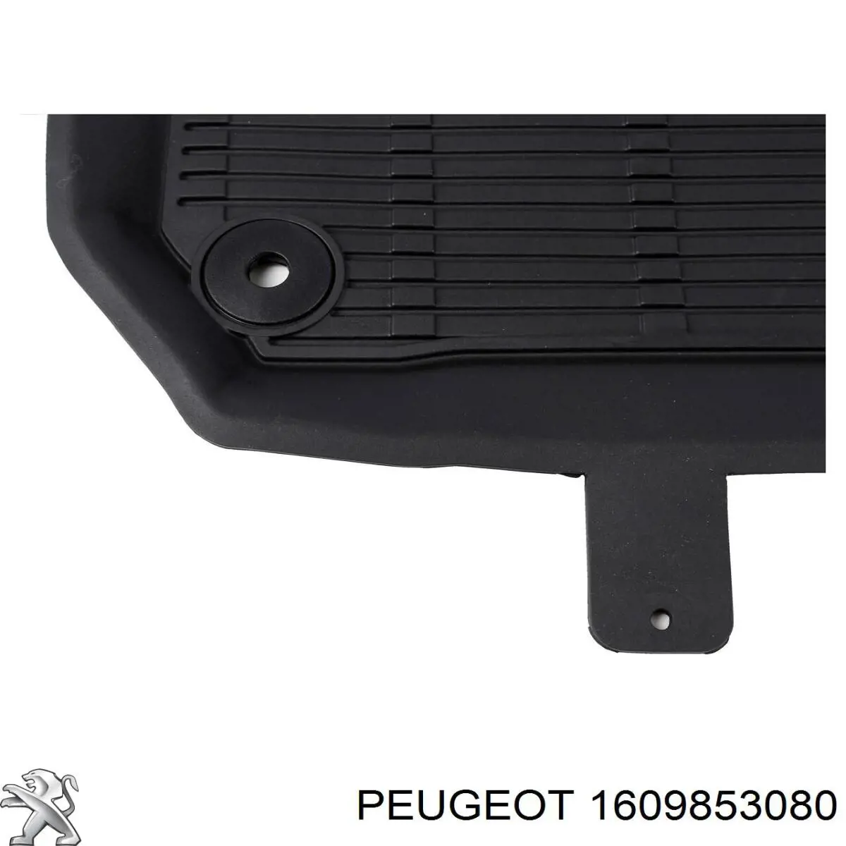 1609853080 Peugeot/Citroen 