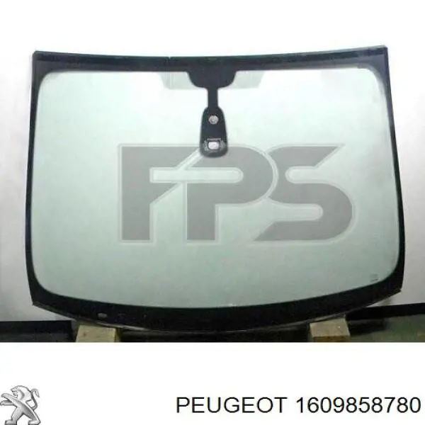 1609858780 Peugeot/Citroen parabrisas