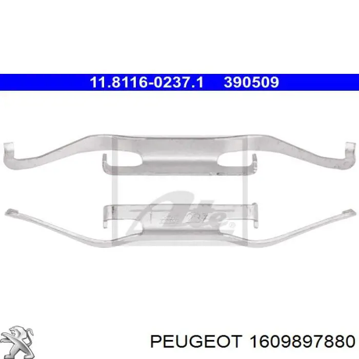 1609897880 Peugeot/Citroen