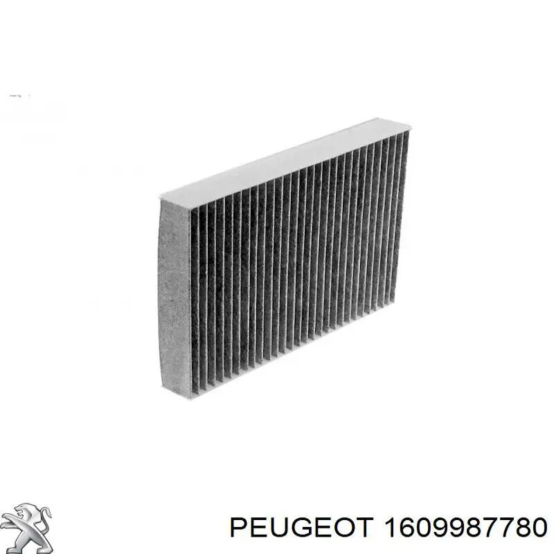 1609987780 Peugeot/Citroen Filtro antipolen