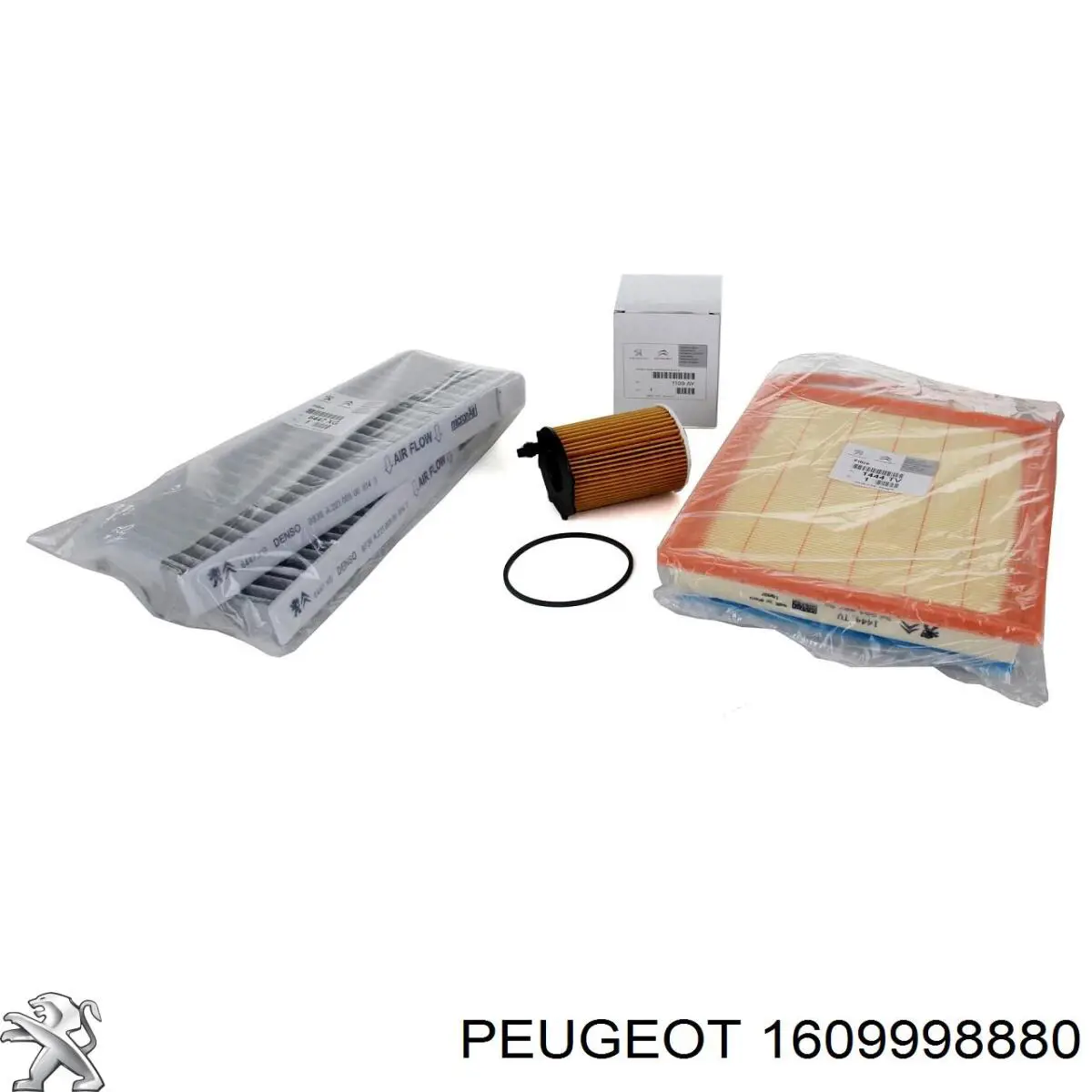 1609998880 Peugeot/Citroen Filtro antipolen