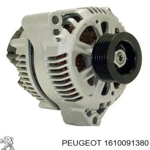  1610091380 Peugeot/Citroen