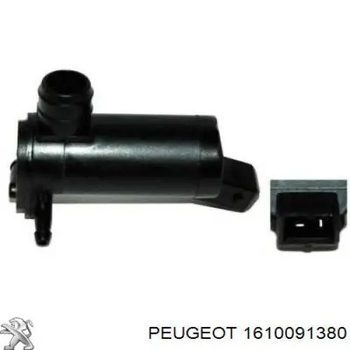  Peugeot/Citroen 1610091380