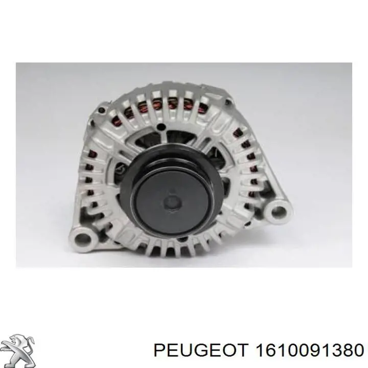 1610091380 Peugeot/Citroen 